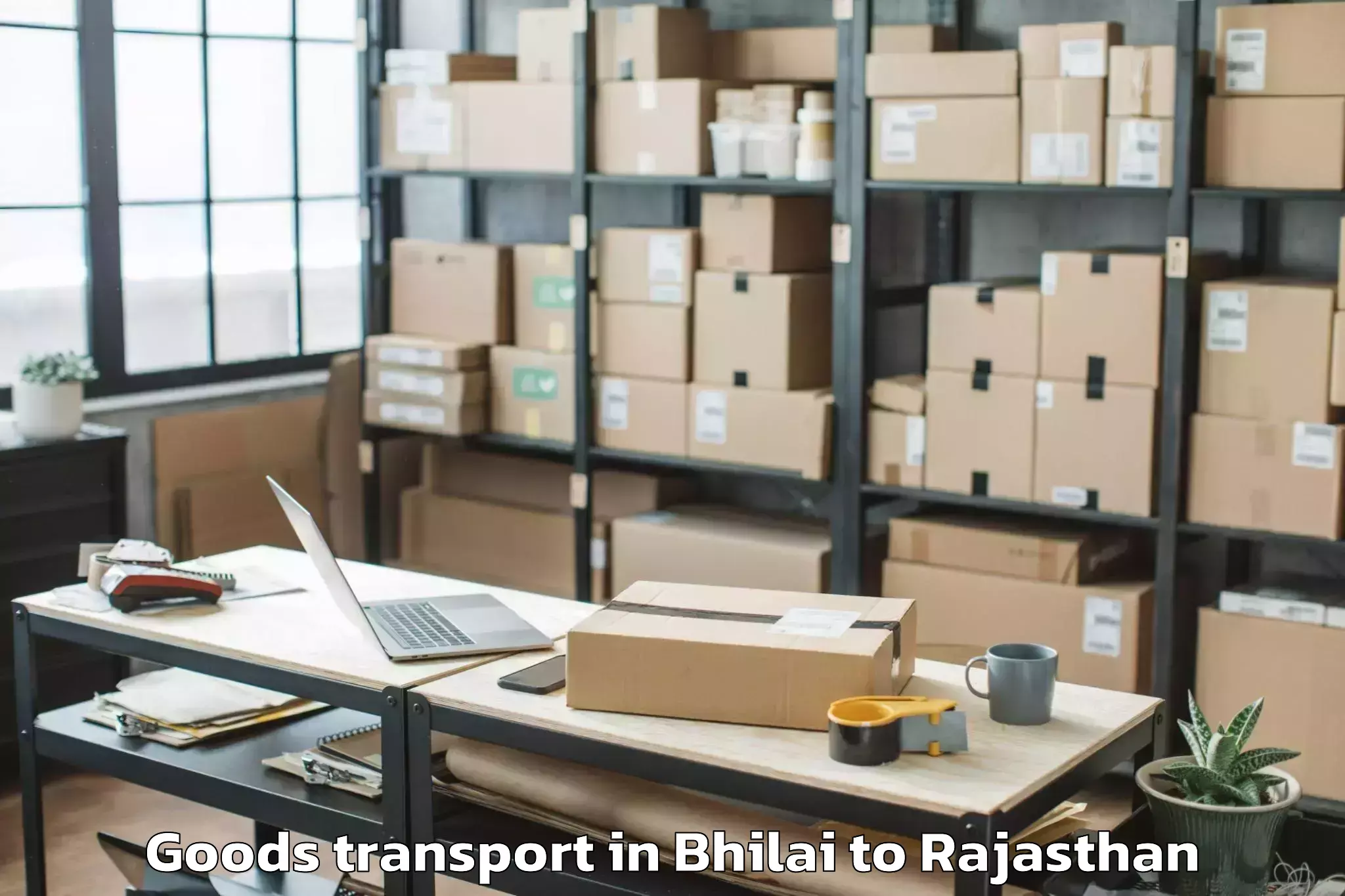 Easy Bhilai to Dholpur Goods Transport Booking